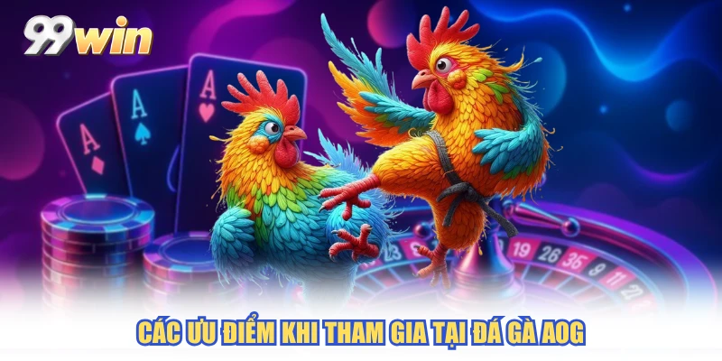 Các lưu ý khi tham gia tại đá gà AOG