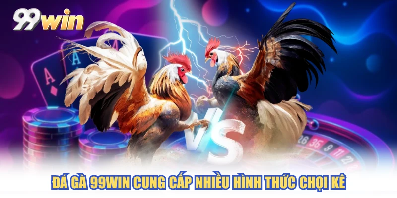 Đá gà 99WIN cung cấp nhiều hình thức chọi kê