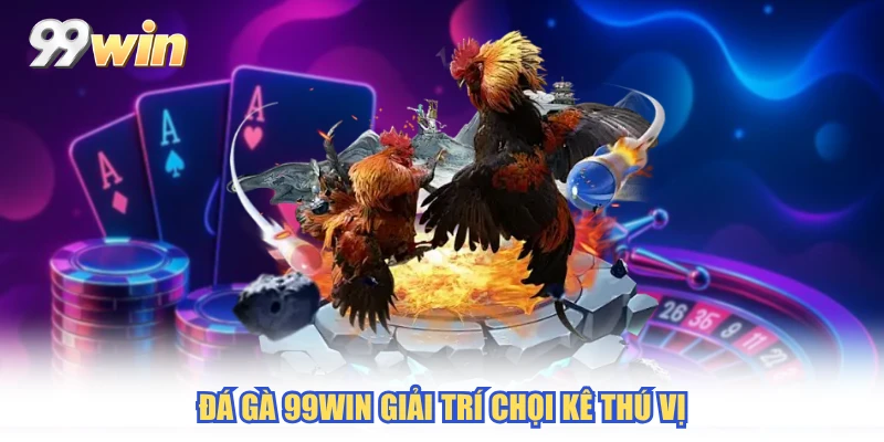 Đá gà 99WIN giải trí chọi kê thú vị