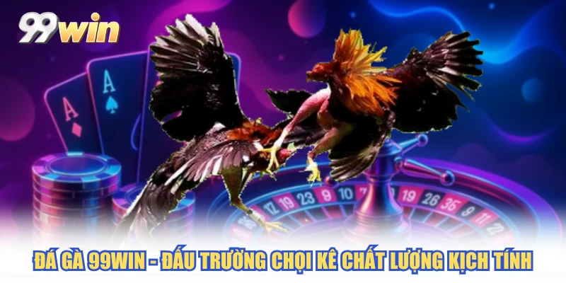 Đá Gà 99WIN - Đấu Trường Chọi Kê Chất Lượng Kịch Tính