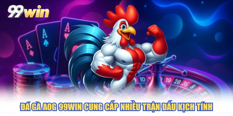 Đá gà AOG 99WIN cung cấp nhiều trận đấu kịch tính