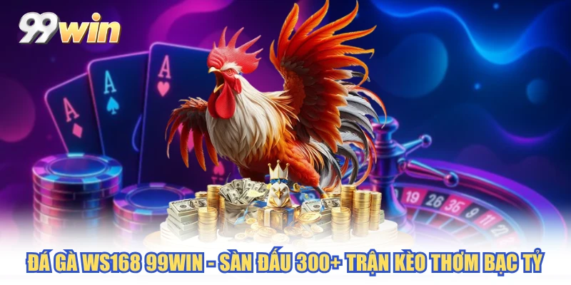 Đá Gà WS168 99WIN - Sàn Đấu 300+ Trận Kèo Thơm Bạc Tỷ
