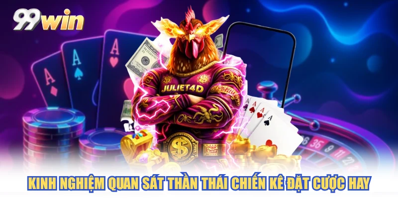 Kinh nghiệm quan sát thần thái chiến kê đặt cược hay