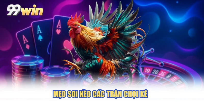 Mẹo soi kèo các trận chọi kê