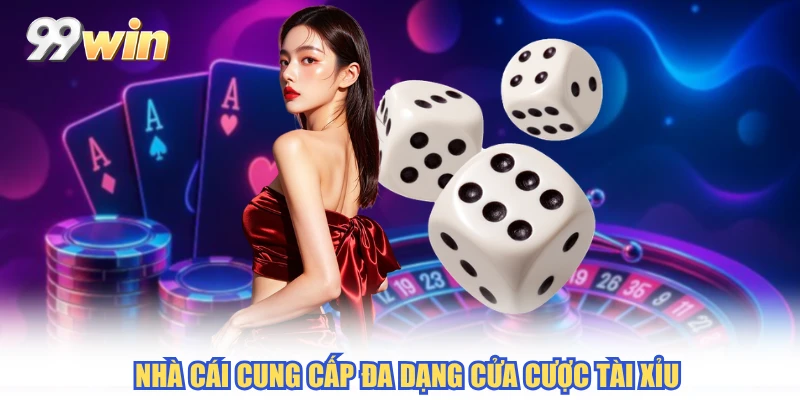Nhà cái cung cấp đa dạng cửa cược Tài Xỉu