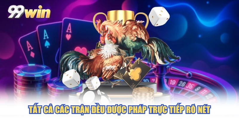 Tất cả các trận đều được pháp trực tiếp rõ nét