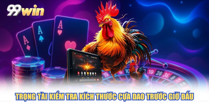 Trọng tài kiểm tra kích thước cựa dao trước giờ đấu